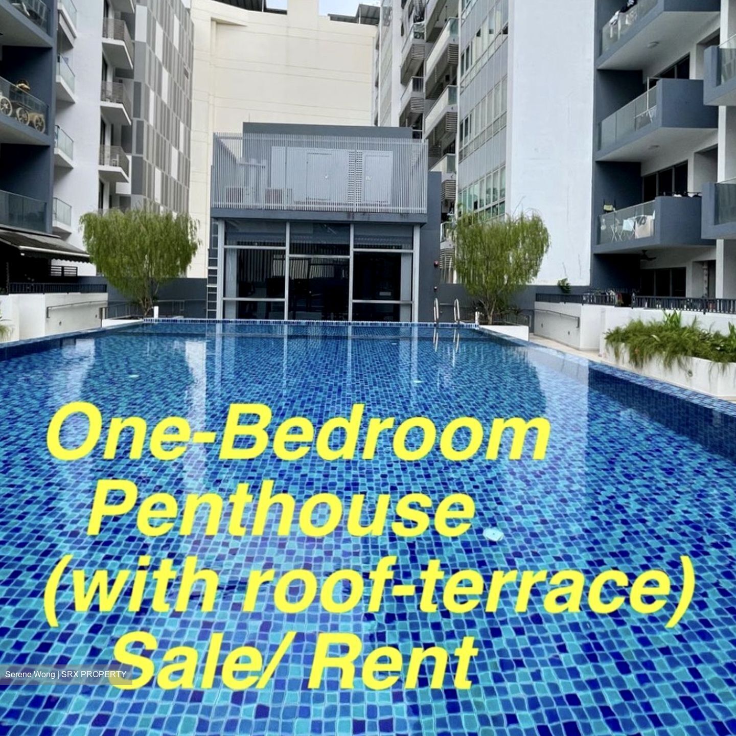 Suites 28 (D14), Apartment #435743011